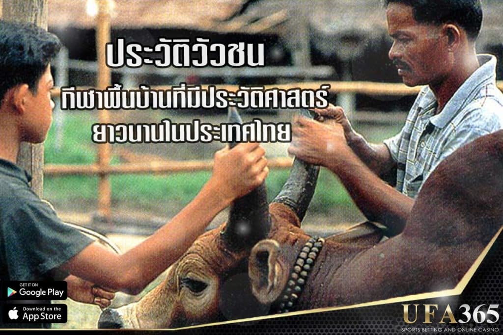 ประวัติการสู้วัวกระทิงและสิ่งที่ควรรู้ก่อนการเดิมพัน